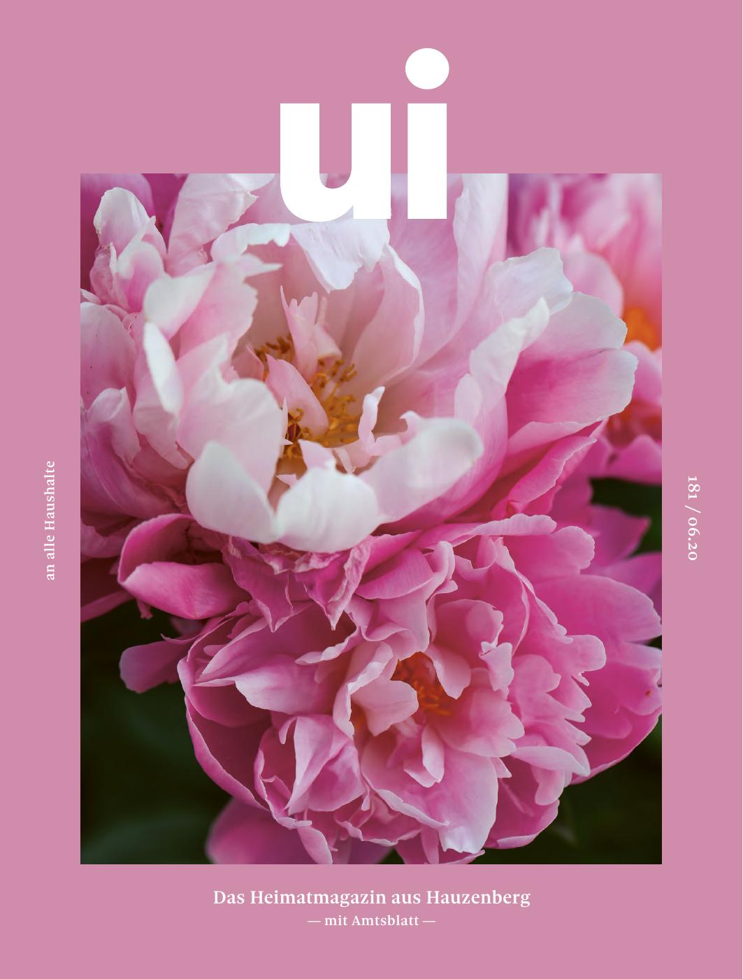 ui 181 / 06.20