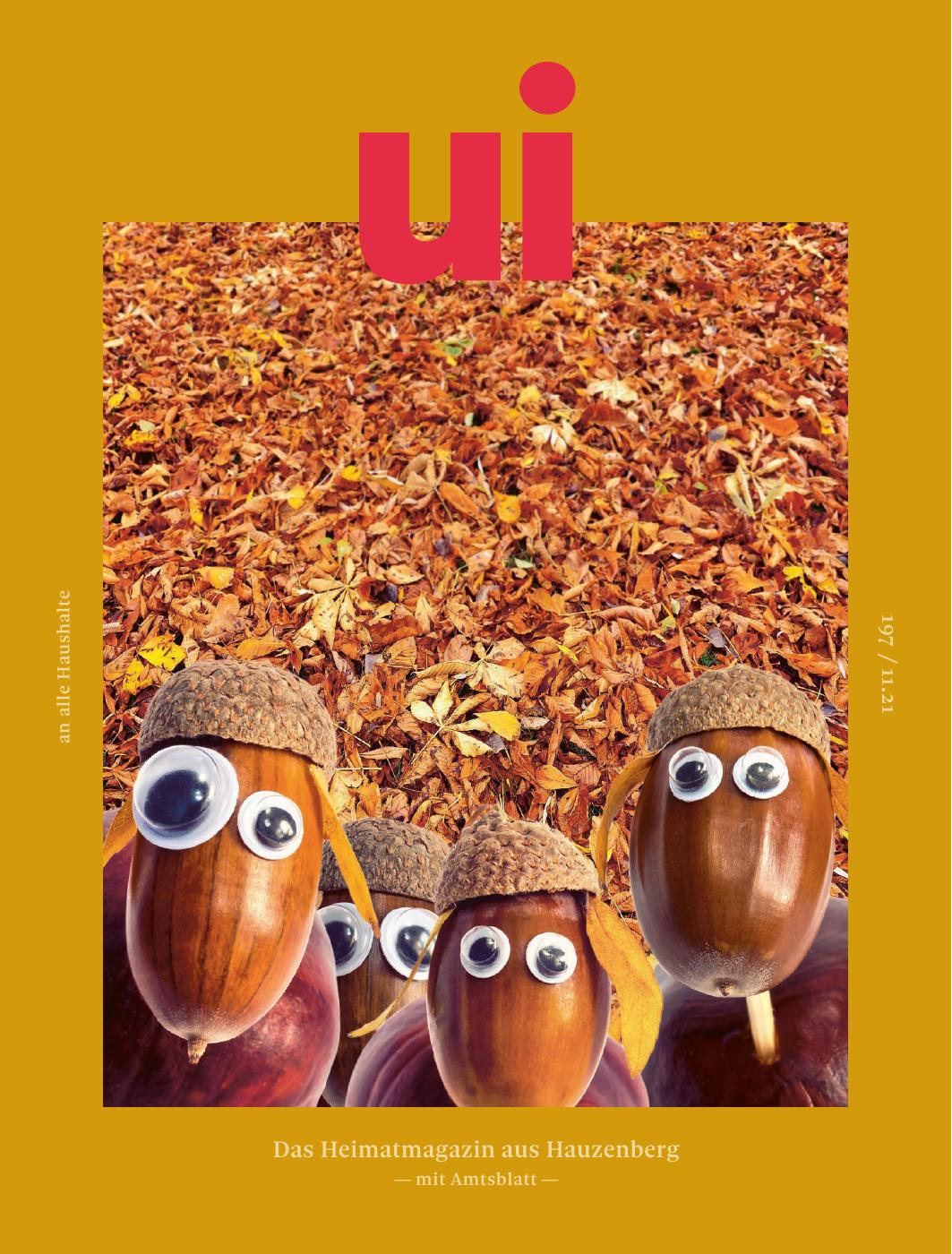 ui 197 / 11.21