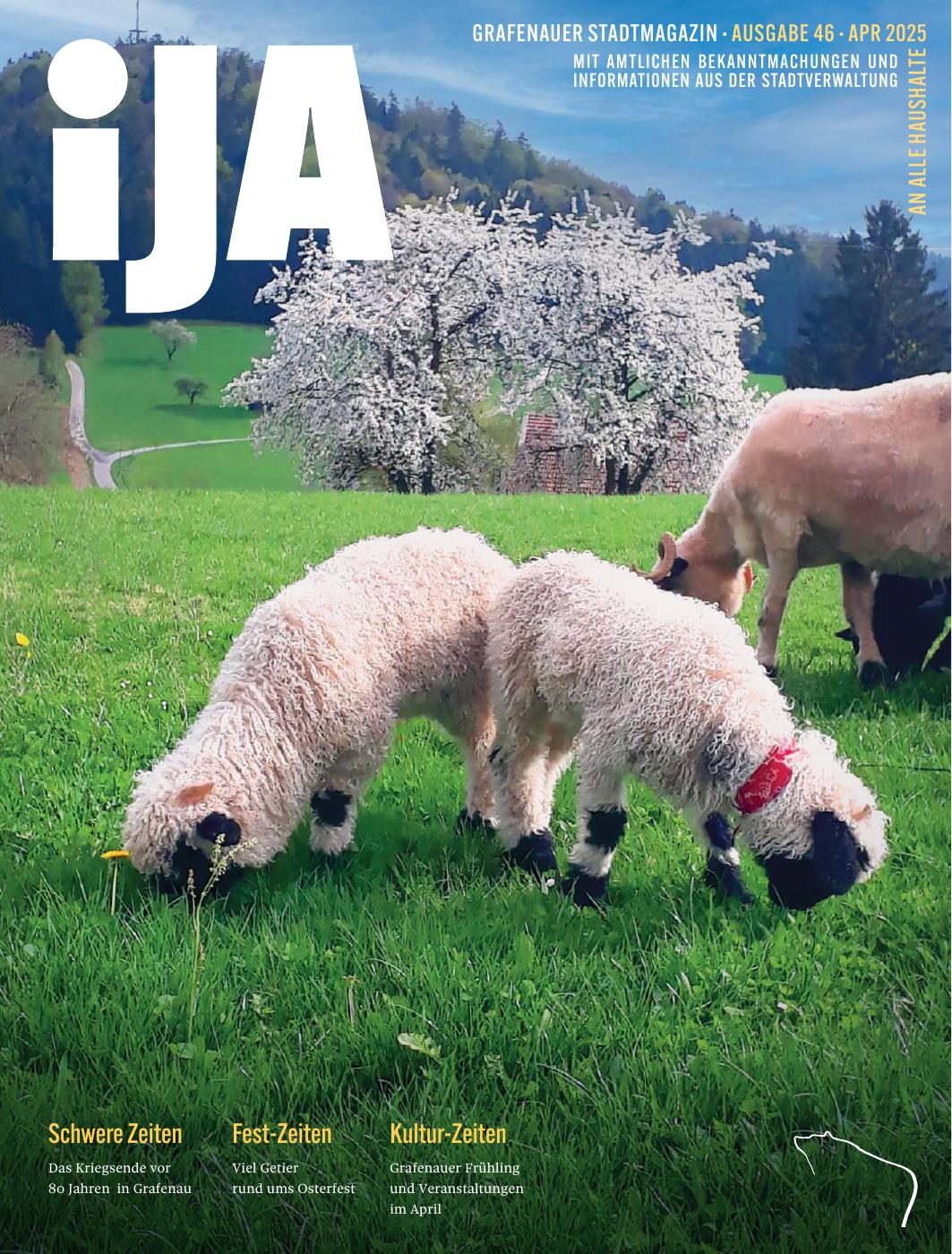 iJA 46 / 04.25