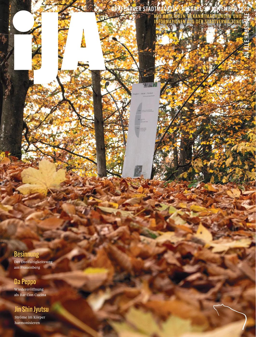 iJA 31 / 11.23
