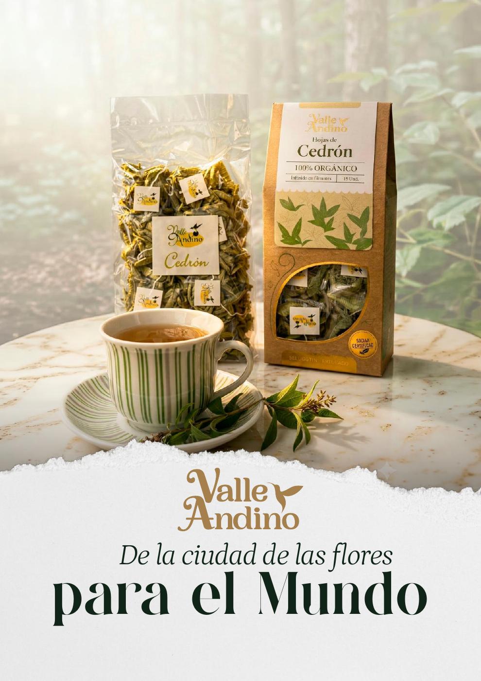 Catálogo Filtrantes